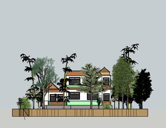 Back View
